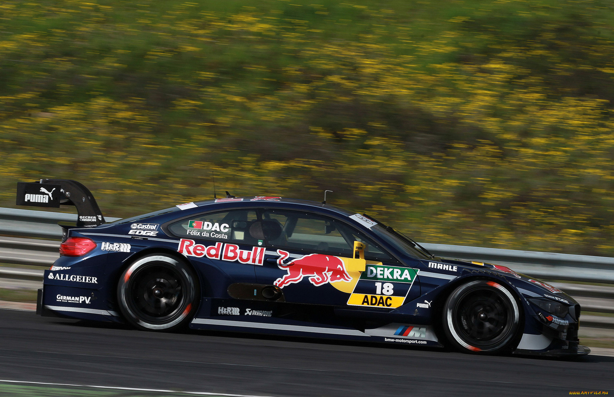 bmw m4 dtm 2014, , bmw, 2014, m4, dtm